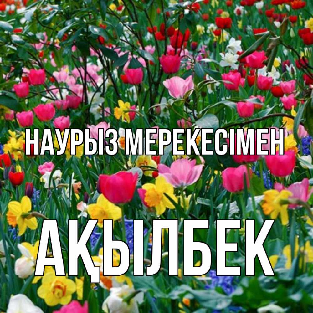 Күн сайын ашық хат с именем, Ақылбек Наурыз мерекесімен с наурызом праздником весны поздравления для женщины Онлайн тегін жүктеп алу тілектері бар керемет карта 