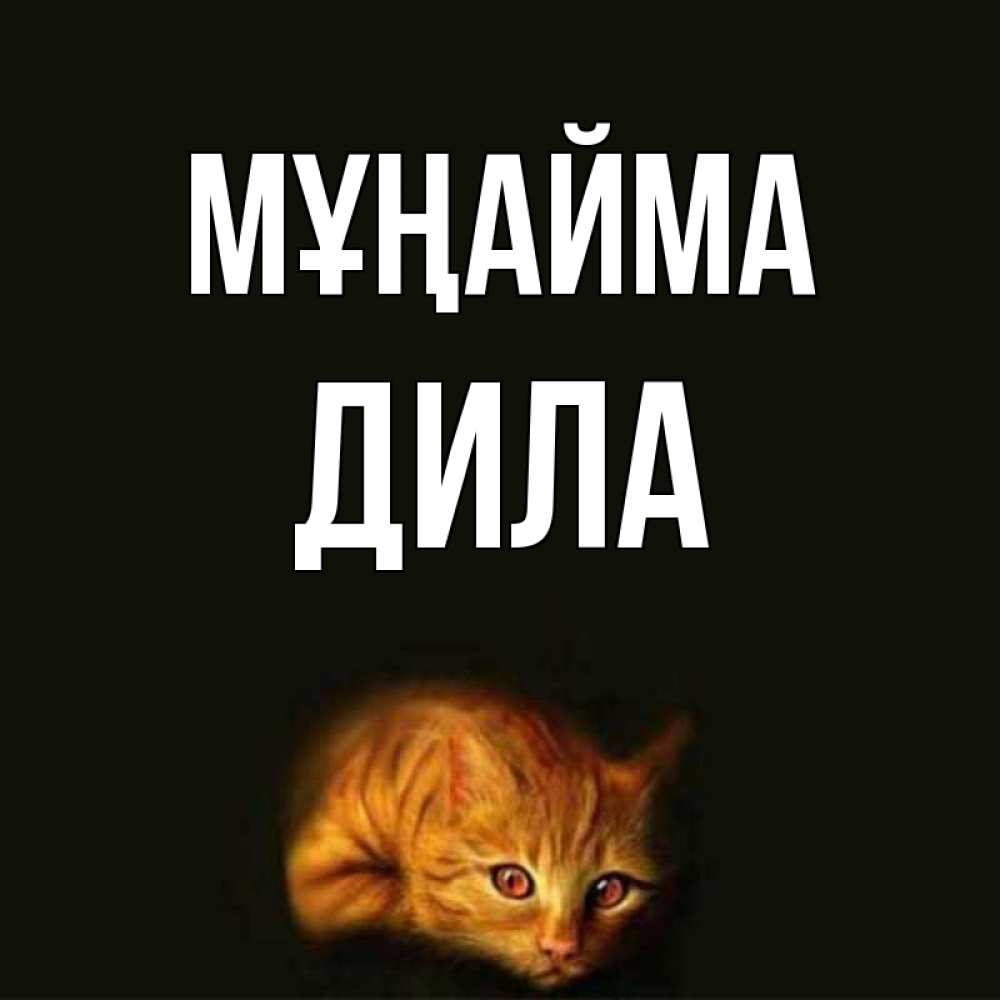 Күн сайын ашық хат с именем, ДИЛА Мұңайма лежащий кот в темноте Онлайн тегін жүктеп алу тілектері бар керемет карта 