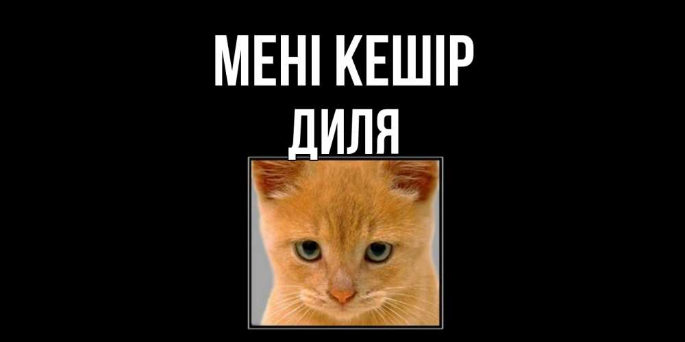 Күн сайын ашық хат с именем, Диля Мені кешір рыжий грустный кот просит прощения Онлайн тегін жүктеп алу тілектері бар керемет карта 