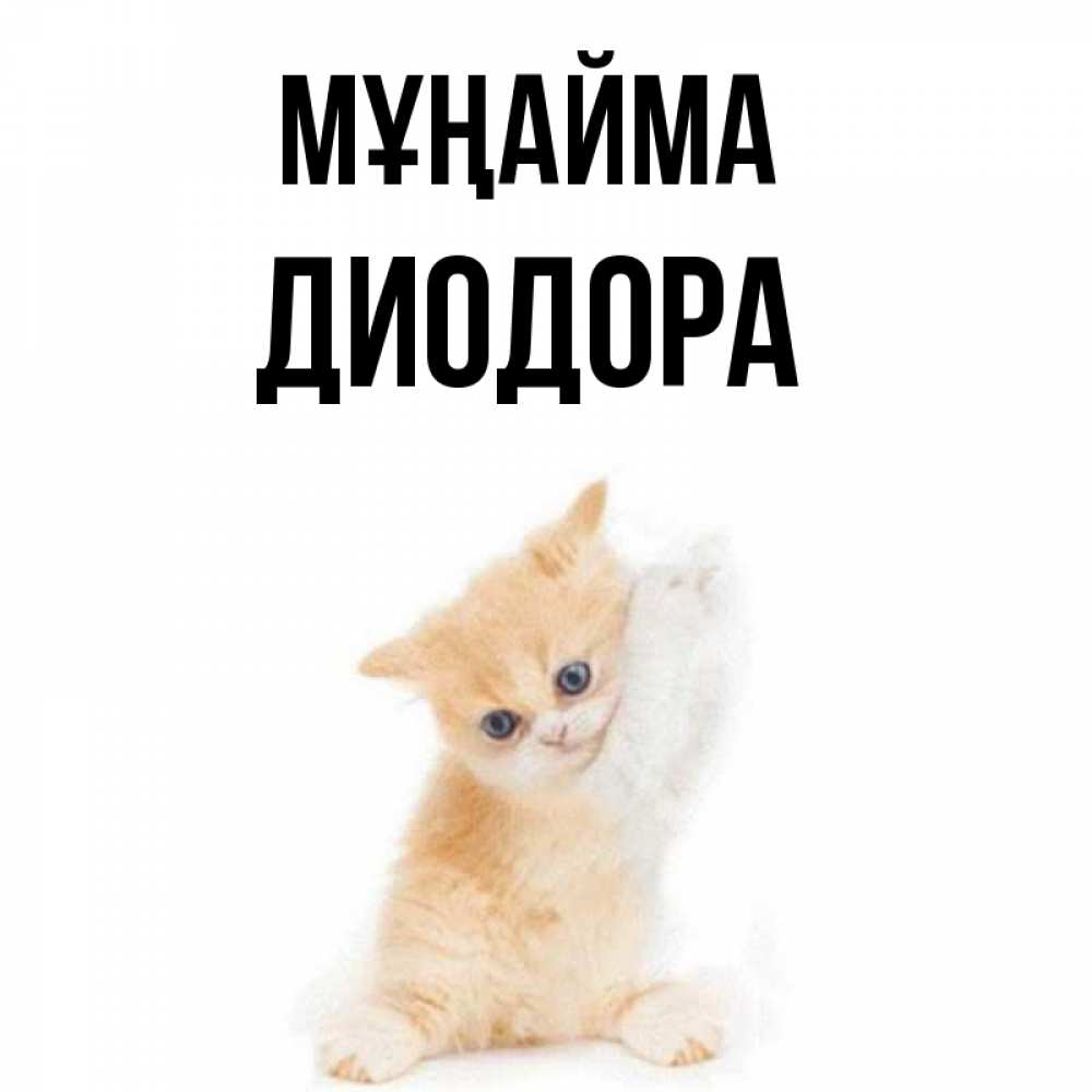 Күн сайын ашық хат с именем, Диодора Мұңайма просящий кот Онлайн тегін жүктеп алу тілектері бар керемет карта 