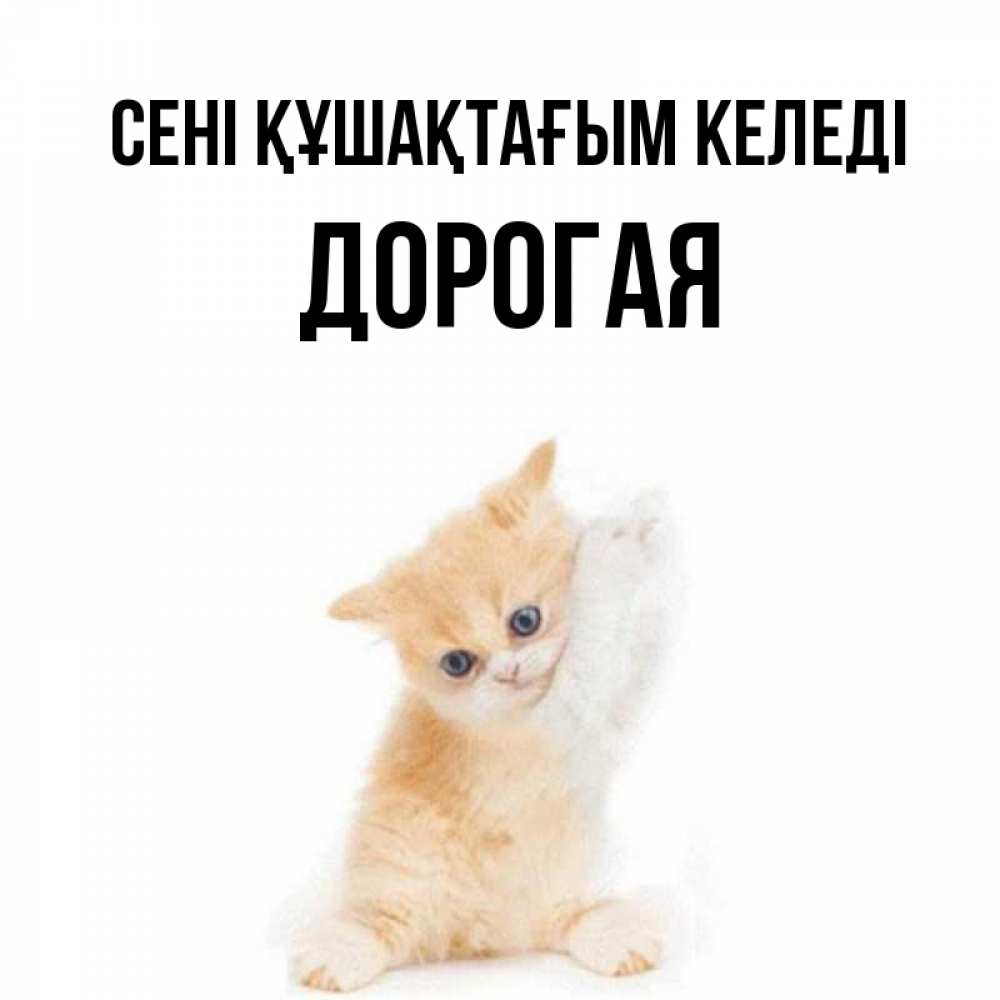 Күн сайын ашық хат с именем, Дорогая сені құшақтағым келеді я хочу очень скорее обнимаешек Онлайн тегін жүктеп алу тілектері бар керемет карта 