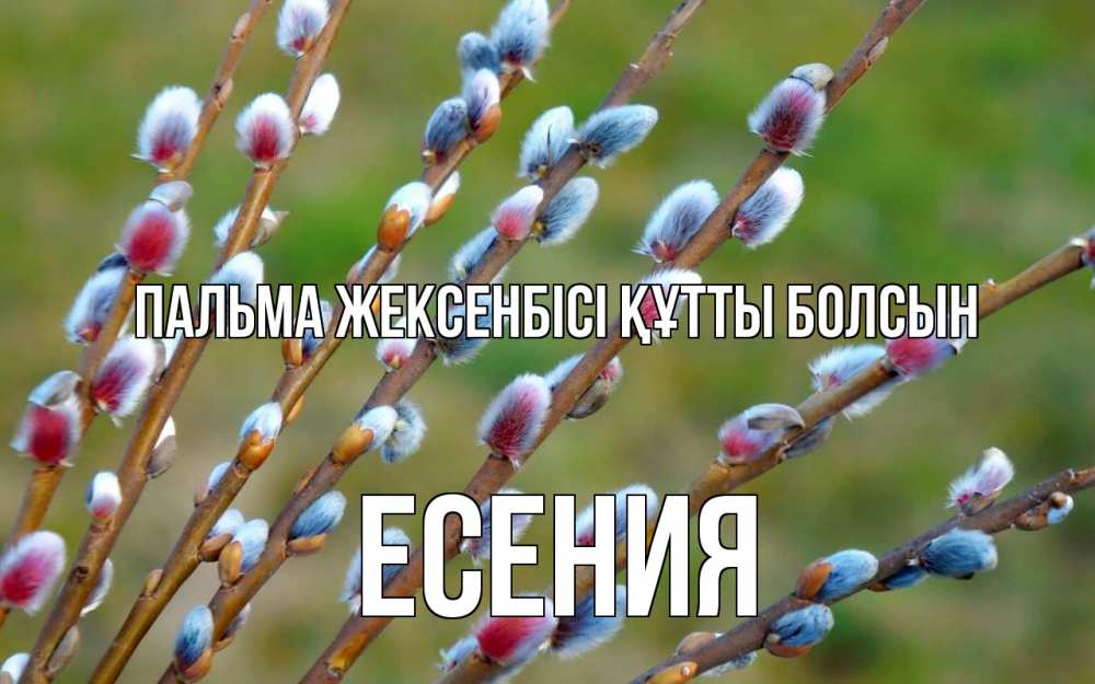 Күн сайын ашық хат с именем, Есения Пальма жексенбісі құтты болсын верба Онлайн тегін жүктеп алу тілектері бар керемет карта 