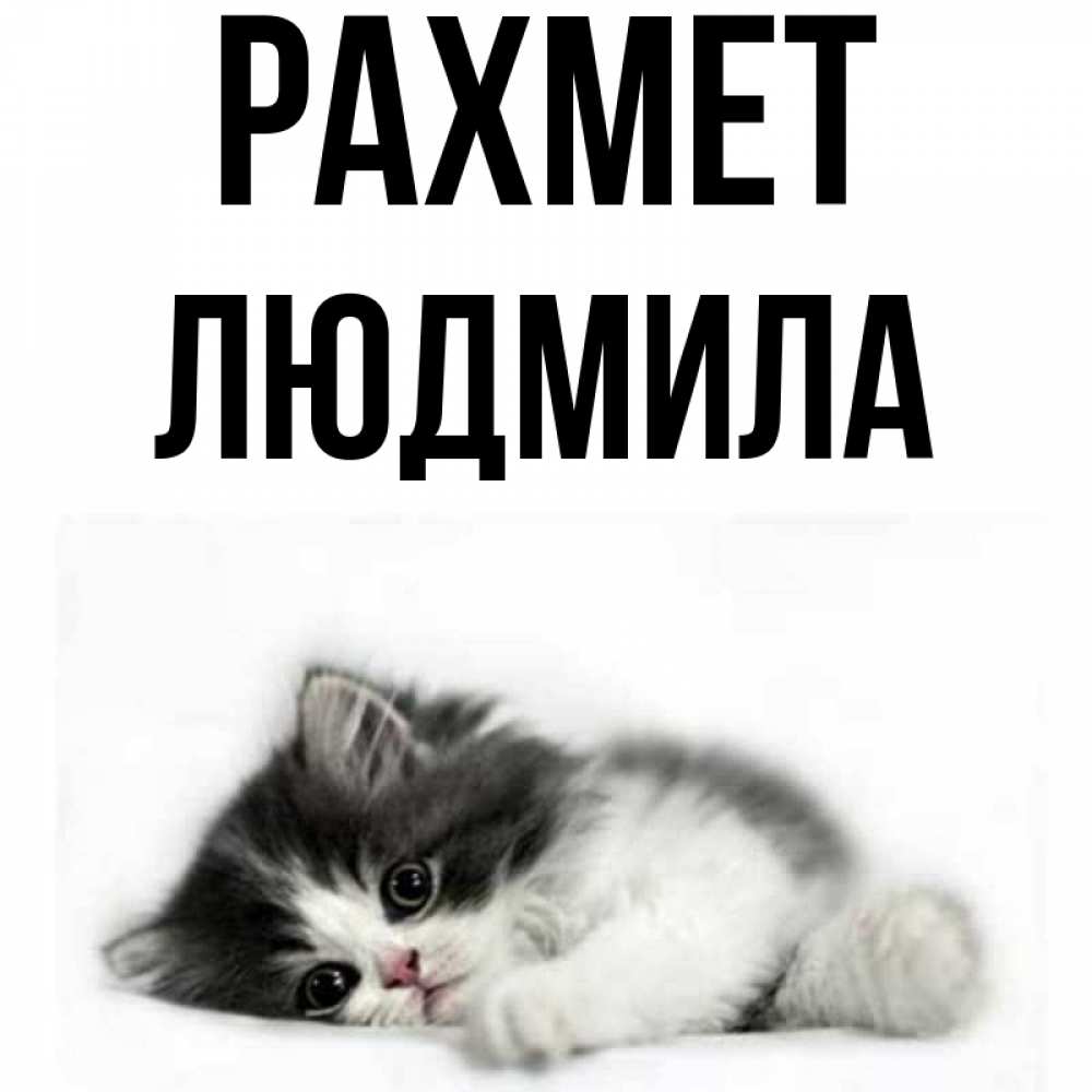 Күн сайын ашық хат с именем, Людмила рахмет черный и белый кот Онлайн тегін жүктеп алу тілектері бар керемет карта 