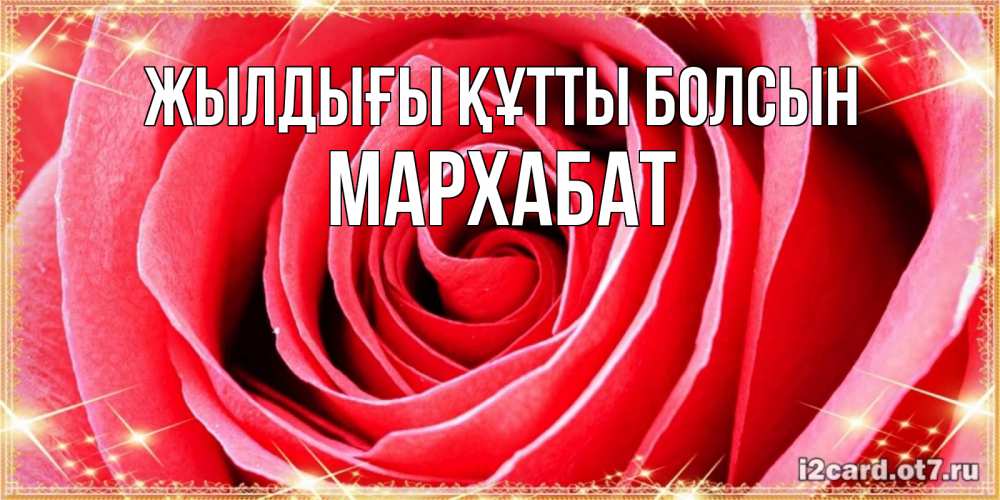 Күн сайын ашық хат с именем, МАРХАБАТ Жылдығы құтты болсын розовая роза очень крупный бутон Онлайн тегін жүктеп алу тілектері бар керемет карта 