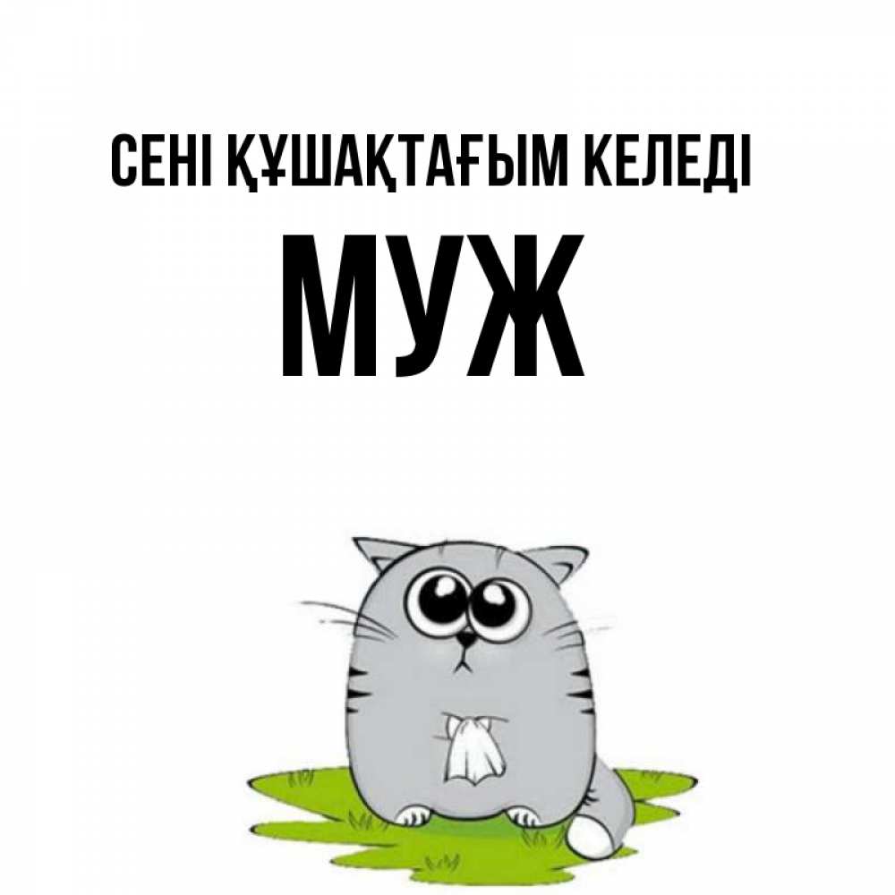 Күн сайын ашық хат с именем, Муж сені құшақтағым келеді котик теребит платочек сидя на травке Онлайн тегін жүктеп алу тілектері бар керемет карта 