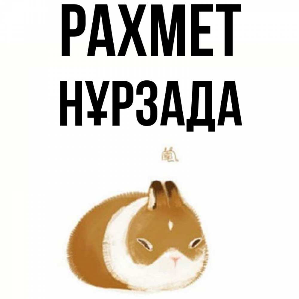 Күн сайын ашық хат с именем, НҰРЗАДА рахмет коричнево белый домашний питомец Онлайн тегін жүктеп алу тілектері бар керемет карта 