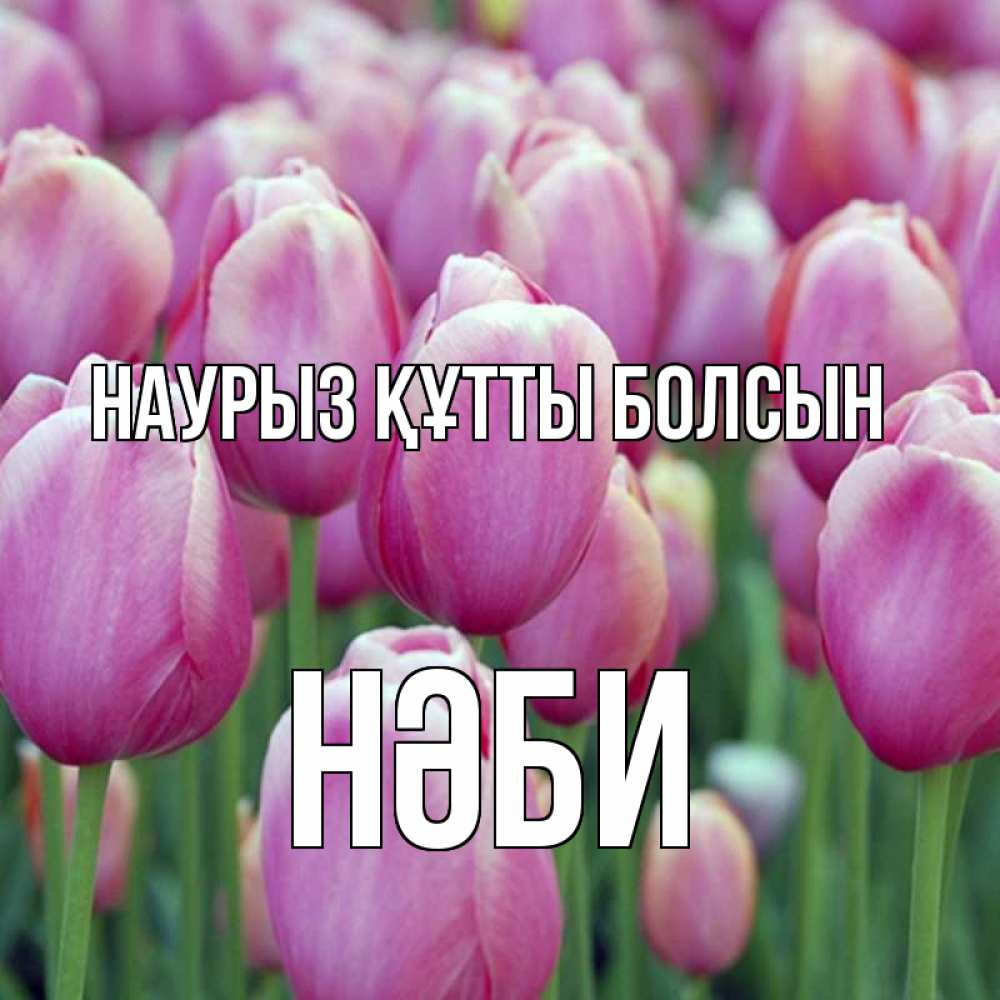Күн сайын ашық хат с именем, НӘБИ Наурыз құтты болсын на наурыз  день 3 Онлайн тегін жүктеп алу тілектері бар керемет карта 