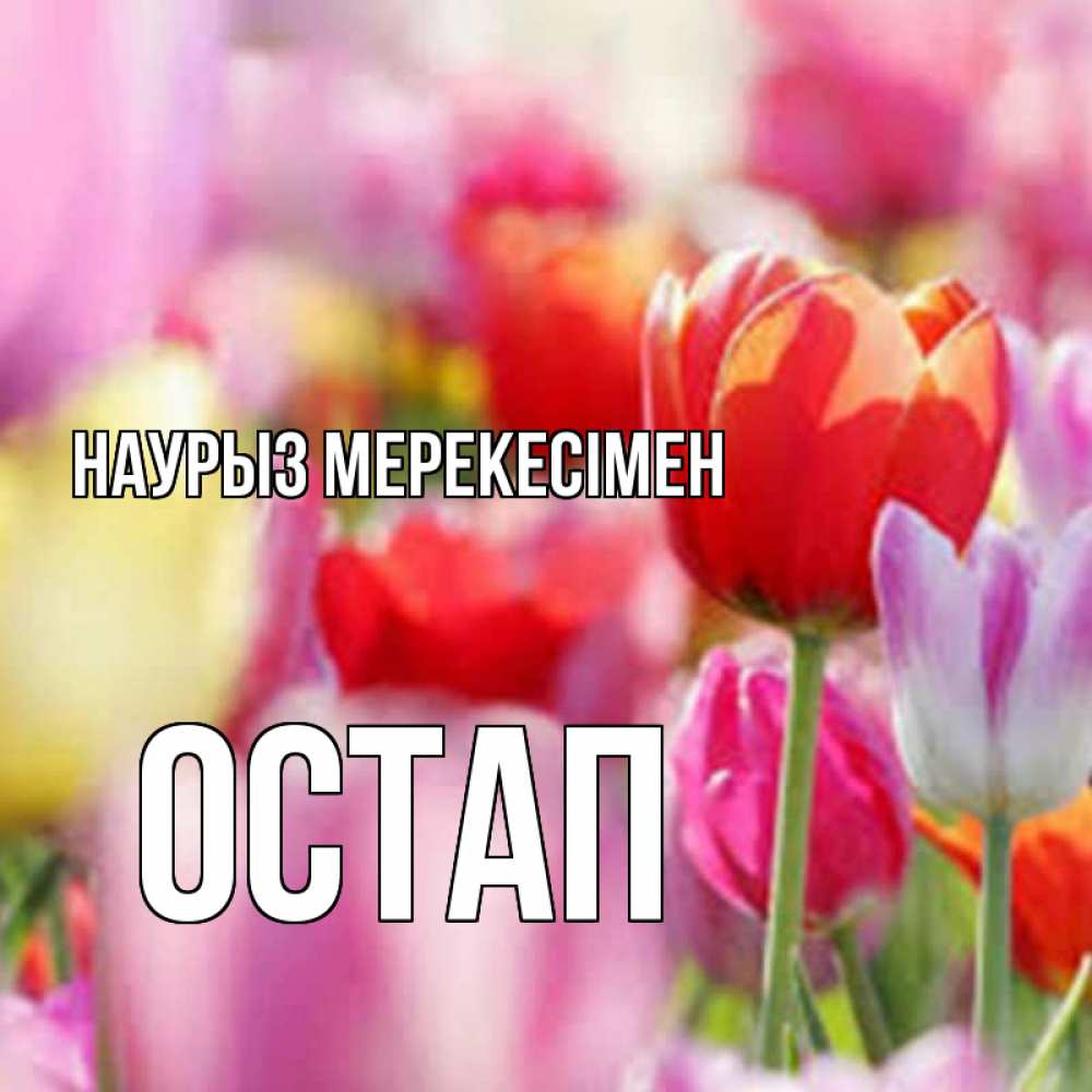 Күн сайын ашық хат с именем, Остап Наурыз мерекесімен праздник весны наурыз 67 Онлайн тегін жүктеп алу тілектері бар керемет карта 