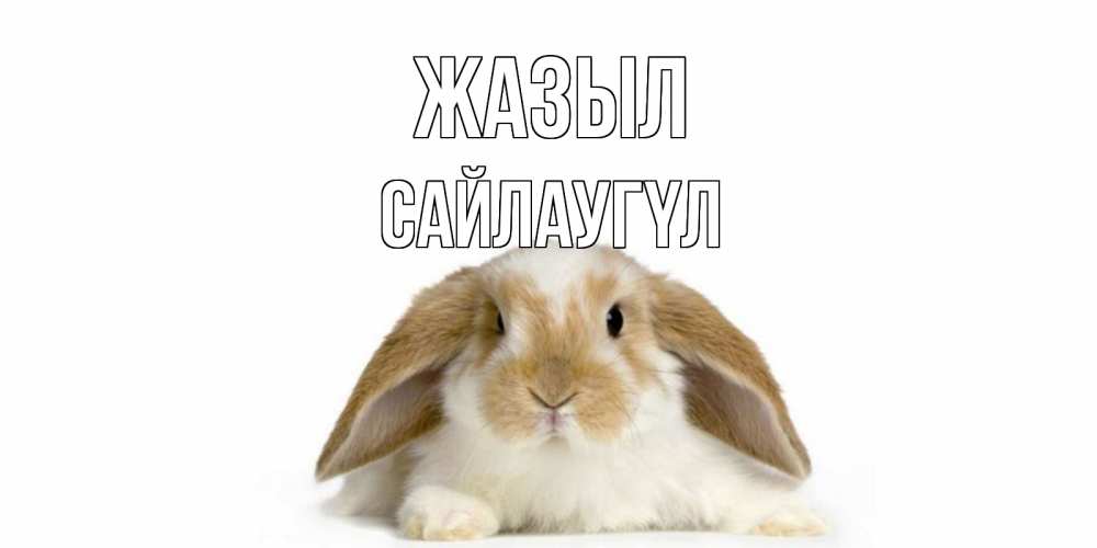 Күн сайын ашық хат с именем, САЙЛАУГҮЛ Жазыл вислоухий кролик белого и коричневого цвета Онлайн тегін жүктеп алу тілектері бар керемет карта 