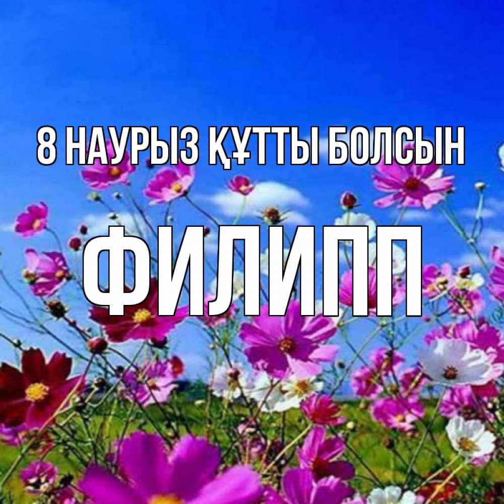 Күн сайын ашық хат с именем, Филипп 8 наурыз құтты болсын цветы Онлайн тегін жүктеп алу тілектері бар керемет карта 