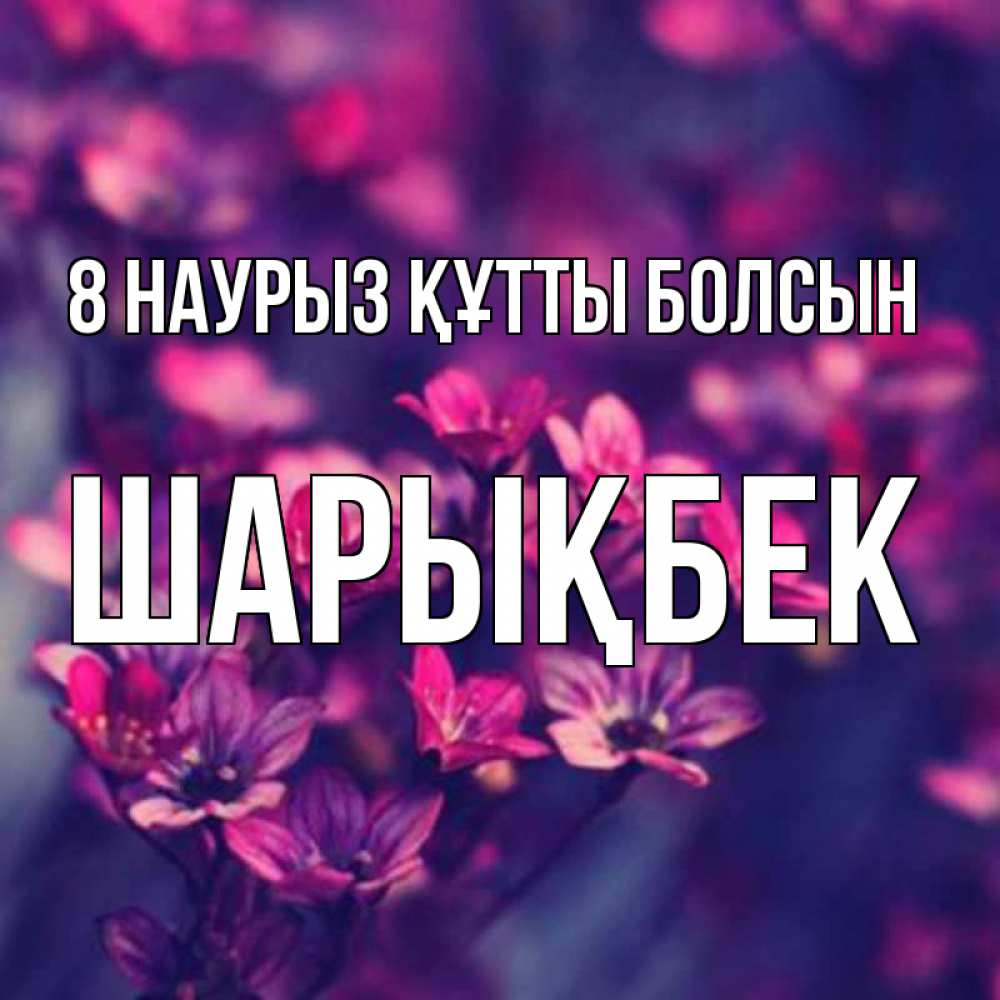 Күн сайын ашық хат с именем, ШАРЫҚБЕК 8 наурыз құтты болсын небольшие цветы 1 Онлайн тегін жүктеп алу тілектері бар керемет карта 