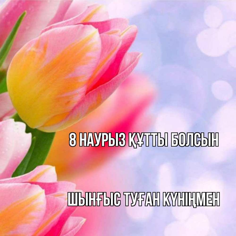 Картинка 8 наурыз құтты болсын, ШЫНҒЫС! ТУҒАН КҮНІҢМЕН!