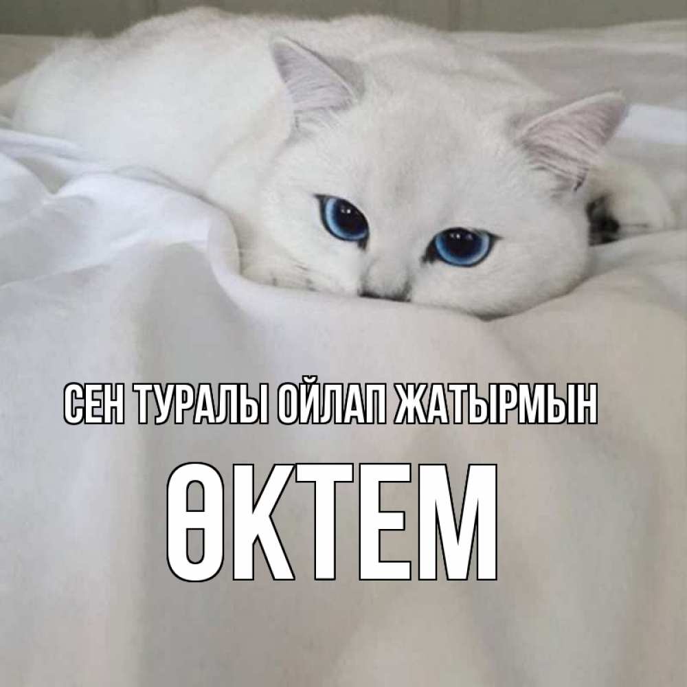 Күн сайын ашық хат с именем, ӨКТЕМ Сен туралы ойлап жатырмын я очень по тебе скучаю и тоскую Онлайн тегін жүктеп алу тілектері бар керемет карта 