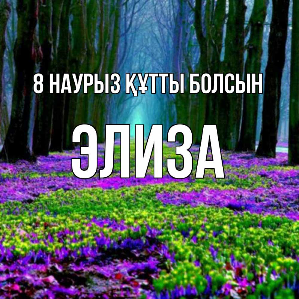 Күн сайын ашық хат с именем, Элиза 8 наурыз құтты болсын фиолетовые цветы в лесу 1 Онлайн тегін жүктеп алу тілектері бар керемет карта 