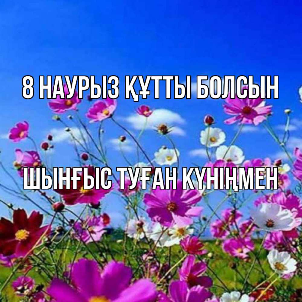 Картинка 8 наурыз құтты болсын, ШЫНҒЫС! ТУҒАН КҮНІҢМЕН!