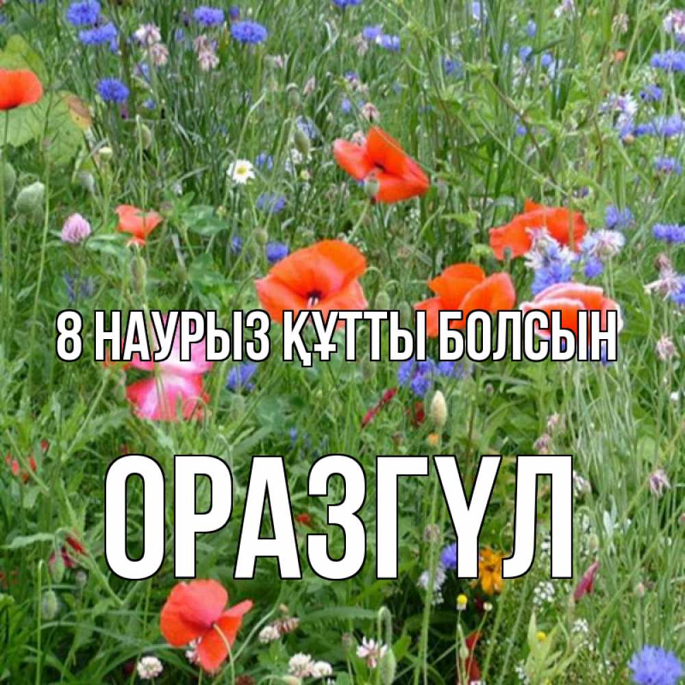 Күн сайын ашық хат с именем, ОРАЗГҮЛ 8 наурыз құтты болсын международный женский день 4 Онлайн тегін жүктеп алу тілектері бар керемет карта 