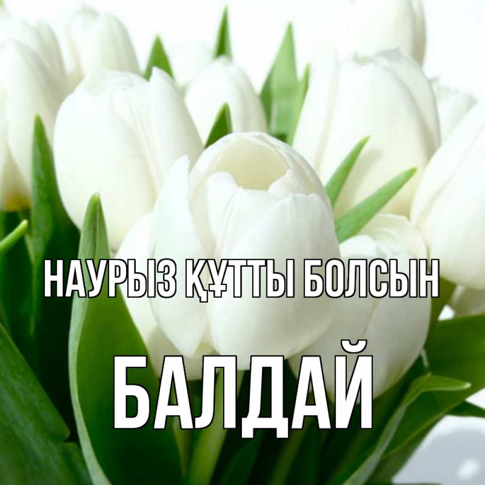Күн сайын ашық хат с именем, БАЛДАЙ Наурыз құтты болсын цветы Онлайн тегін жүктеп алу тілектері бар керемет карта 