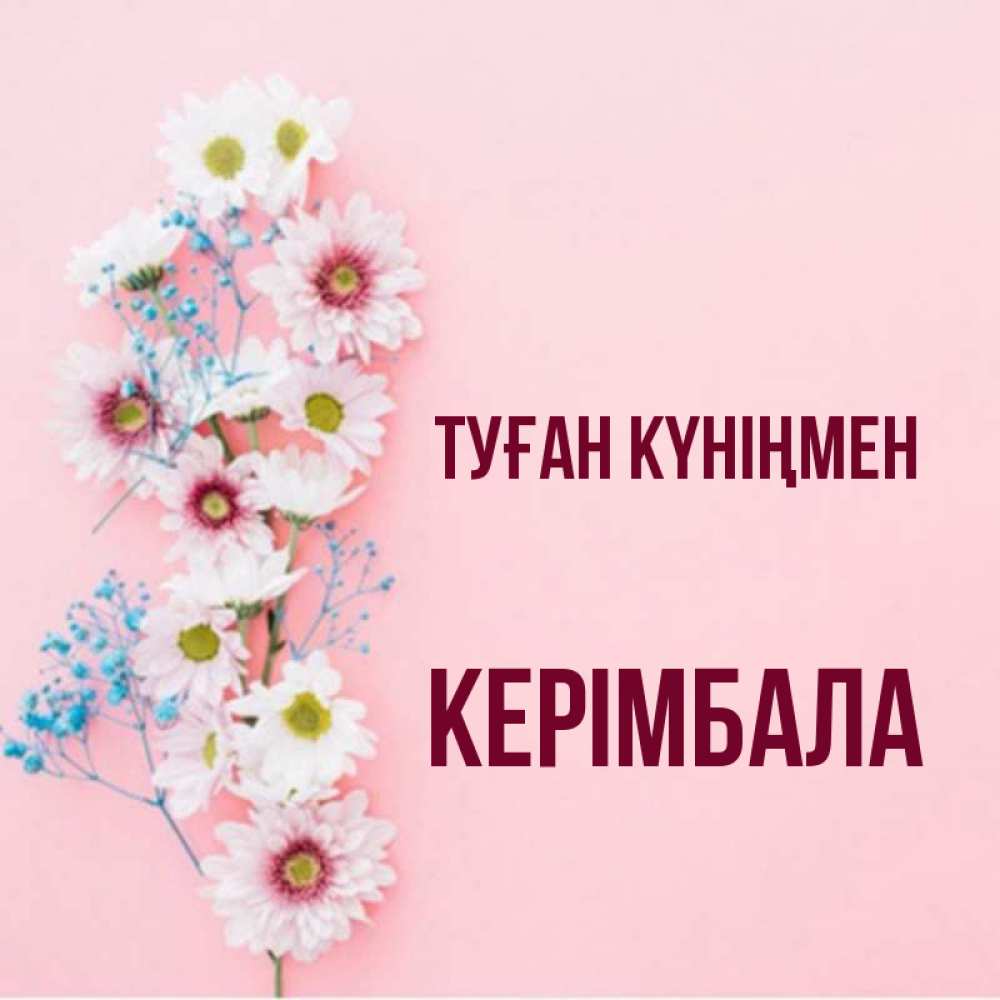 Күн сайын ашық хат с именем, КЕРІМБАЛА Туған күніңмен Родная моя с днем рождения тебя картинка с цветами белыми и голубыми Онлайн тегін жүктеп алу тілектері бар керемет карта 