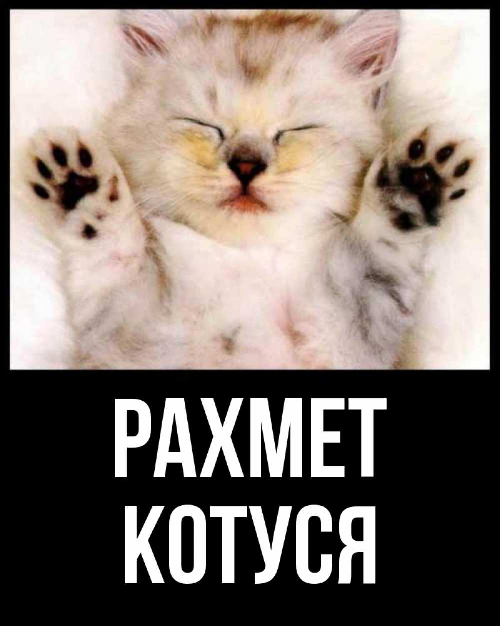 Күн сайын ашық хат с именем, Котуся рахмет маленький котенок Онлайн тегін жүктеп алу тілектері бар керемет карта 