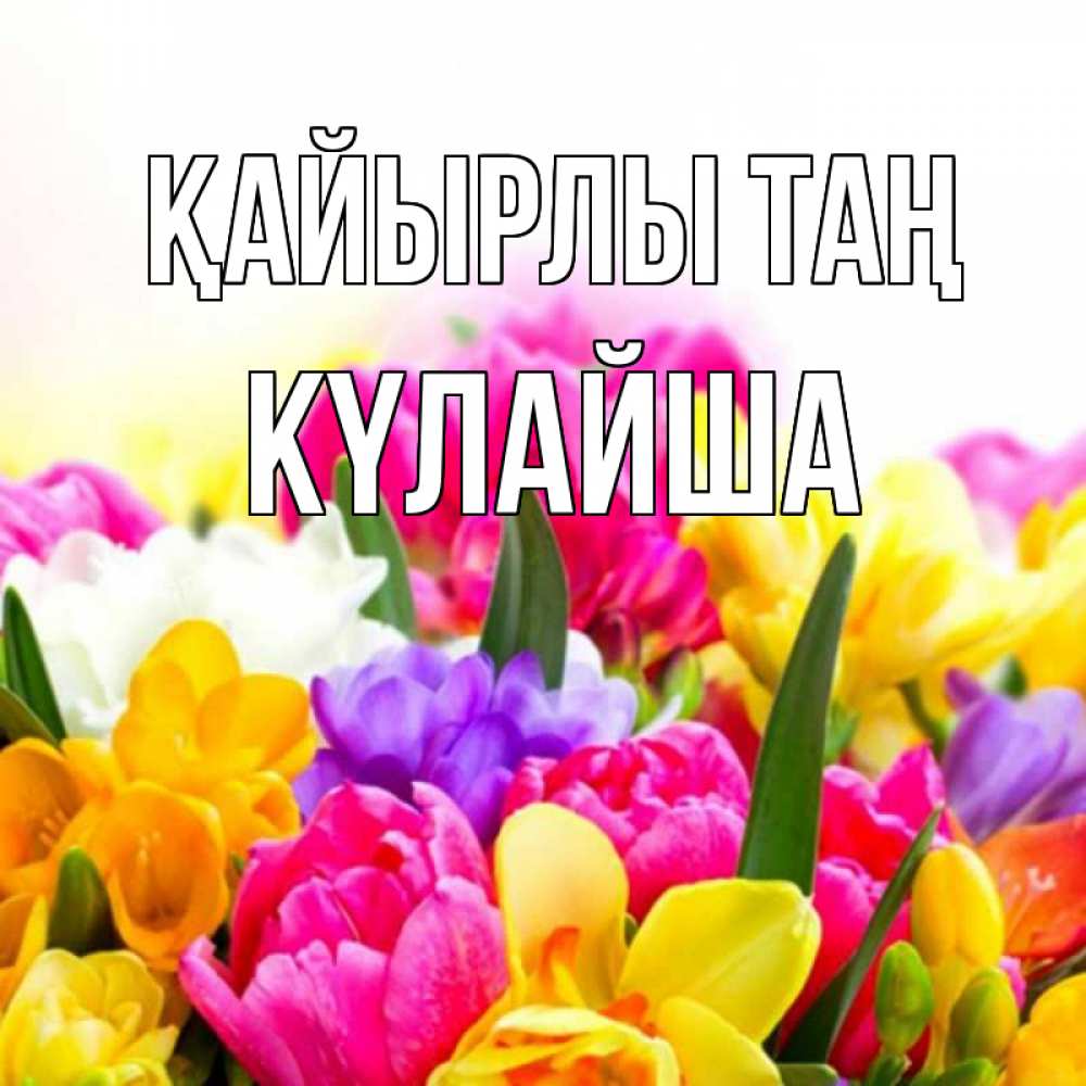 Күн сайын ашық хат с именем, КҮЛАЙША Қайырлы таң создать открытку со свое подписью Онлайн тегін жүктеп алу тілектері бар керемет карта 