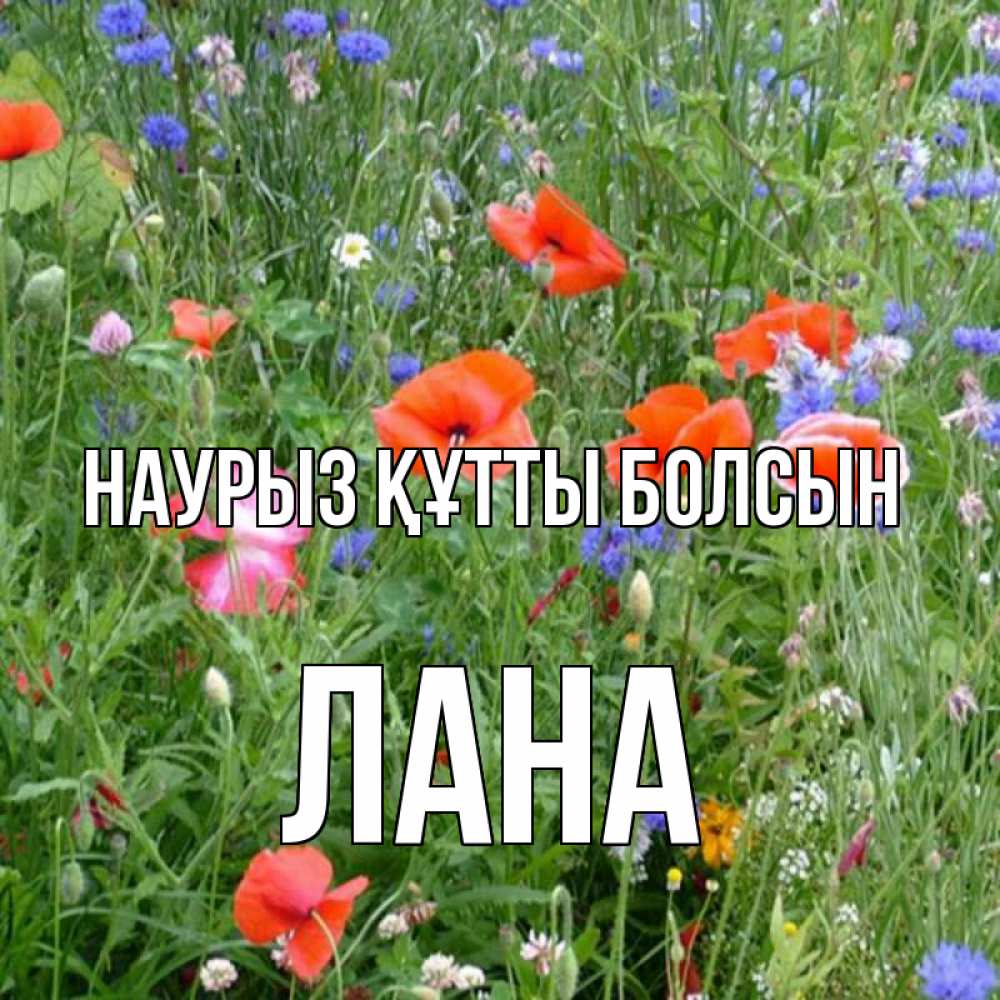 Күн сайын ашық хат с именем, Лана Наурыз құтты болсын наурыз  4 Онлайн тегін жүктеп алу тілектері бар керемет карта 