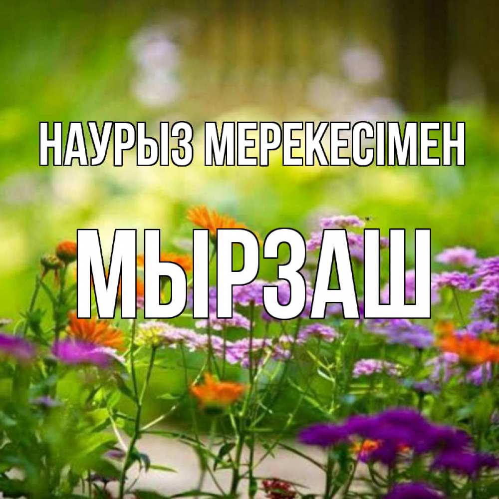 Күн сайын ашық хат с именем, Мырзаш Наурыз мерекесімен цветы Онлайн тегін жүктеп алу тілектері бар керемет карта 
