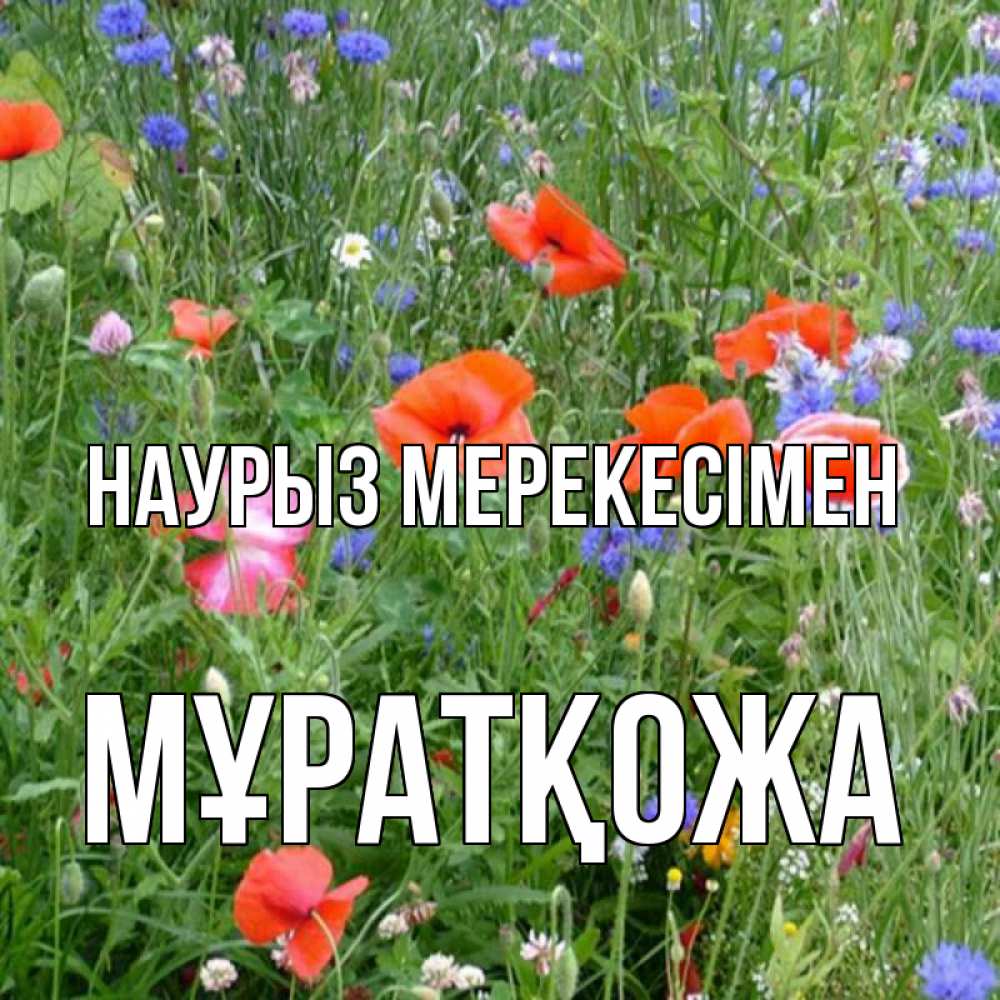 Күн сайын ашық хат с именем, Мұратқожа Наурыз мерекесімен праздник весны наурыз супер открытка Онлайн тегін жүктеп алу тілектері бар керемет карта 