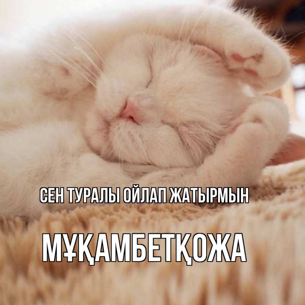 Күн сайын ашық хат с именем, Мұқамбетқожа Сен туралы ойлап жатырмын для любимой девушки милота Онлайн тегін жүктеп алу тілектері бар керемет карта 