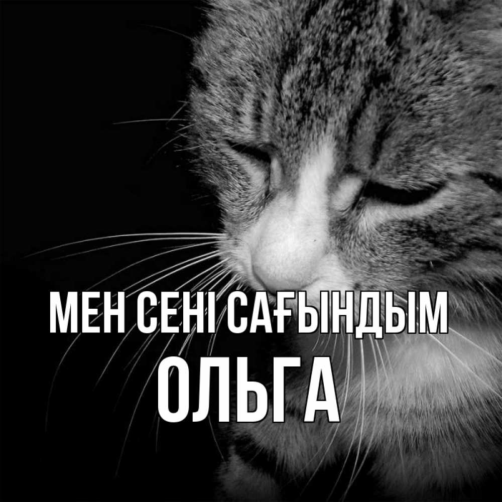 Күн сайын ашық хат с именем, Ольга Мен сені сағындым мне скучно Онлайн тегін жүктеп алу тілектері бар керемет карта 