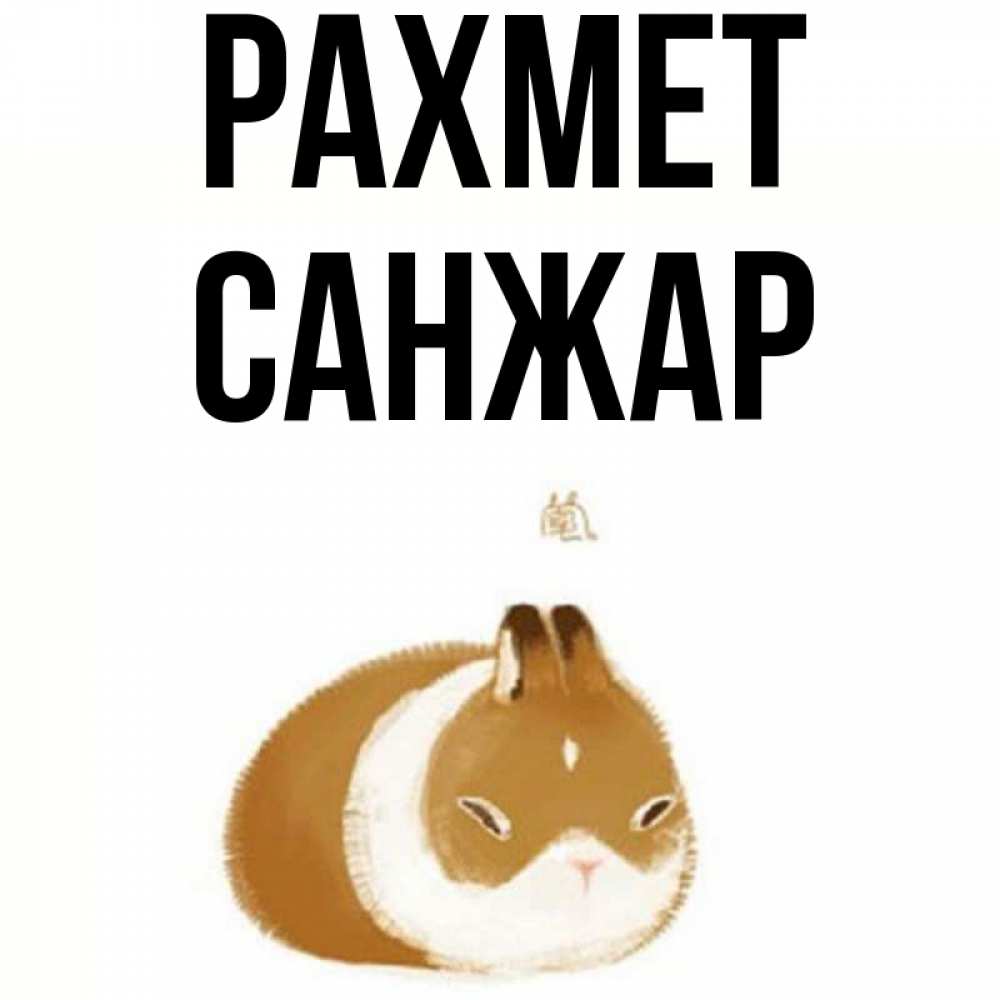 Күн сайын ашық хат с именем, САНЖАР рахмет коричнево белый домашний питомец Онлайн тегін жүктеп алу тілектері бар керемет карта 
