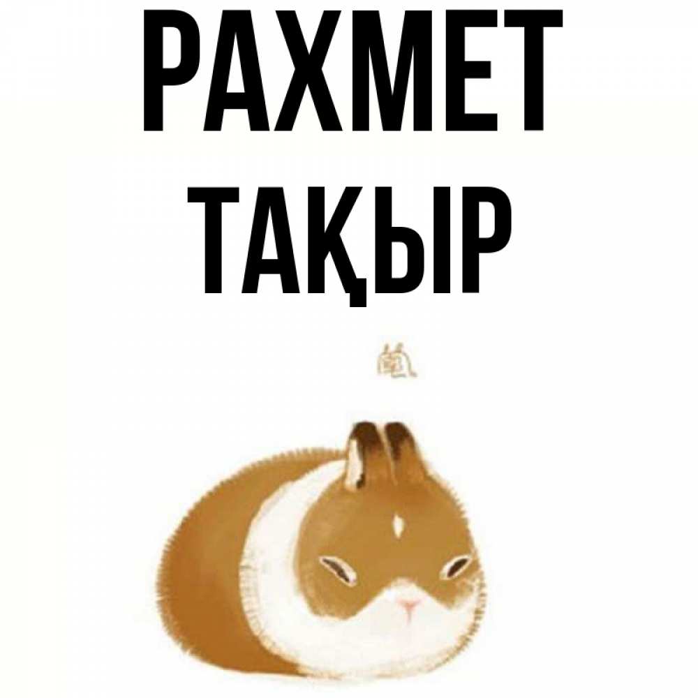 Күн сайын ашық хат с именем, ТАҚЫР рахмет коричнево белый домашний питомец Онлайн тегін жүктеп алу тілектері бар керемет карта 