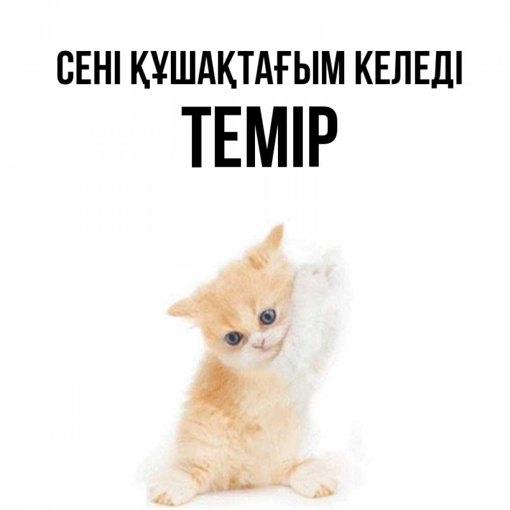 Күн сайын ашық хат с именем, ТЕМІР сені құшақтағым келеді я хочу очень скорее обнимаешек Онлайн тегін жүктеп алу тілектері бар керемет карта 