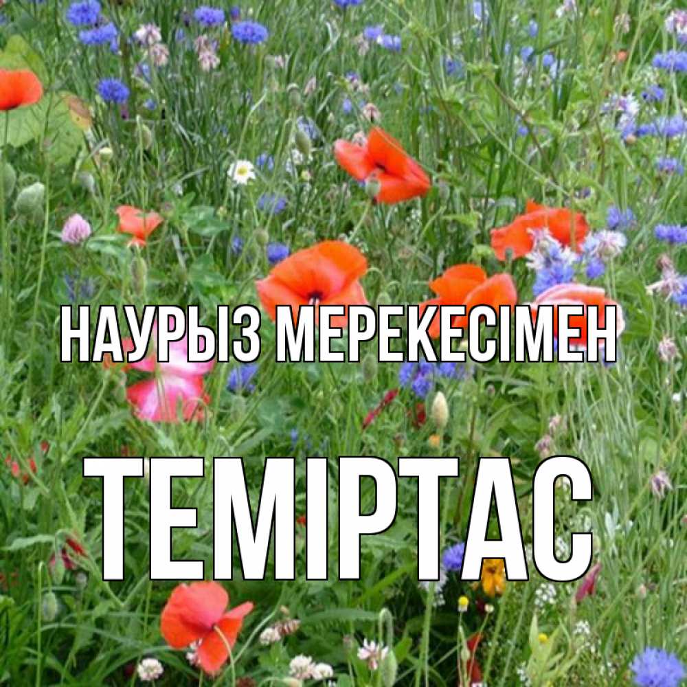 Күн сайын ашық хат с именем, ТЕМІРТАС Наурыз мерекесімен праздник весны наурыз супер открытка Онлайн тегін жүктеп алу тілектері бар керемет карта 