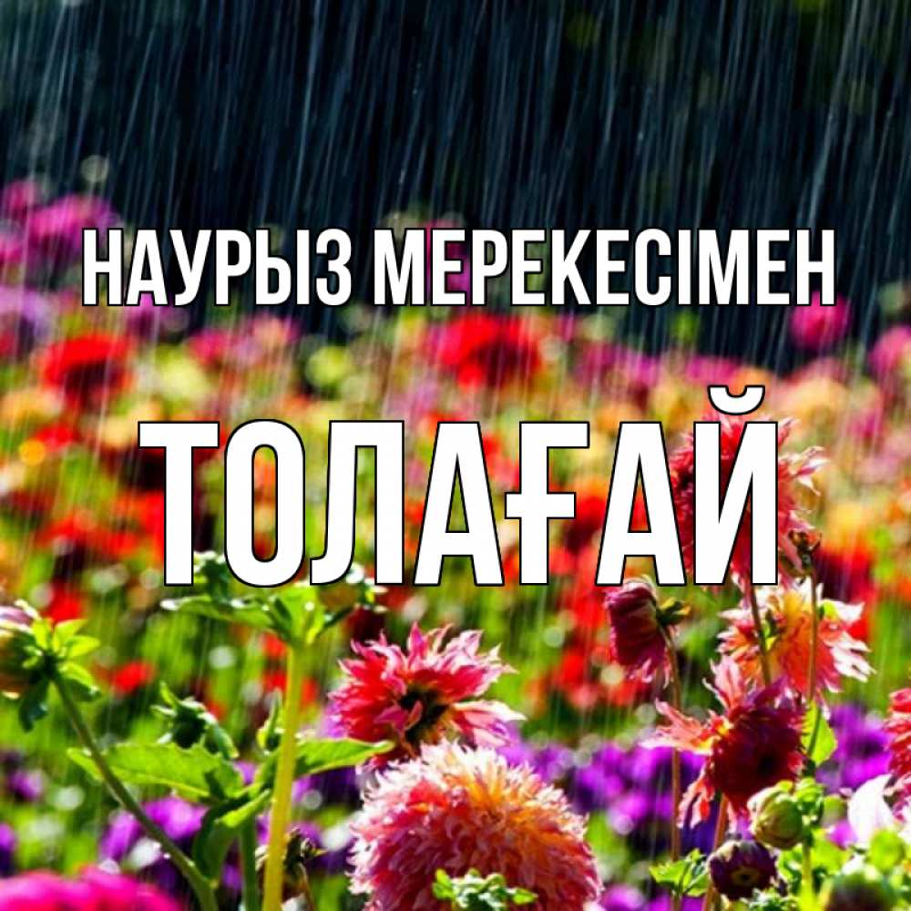 Күн сайын ашық хат с именем, ТОЛАҒАЙ Наурыз мерекесімен цветы под дождиком к международному женскому дню Онлайн тегін жүктеп алу тілектері бар керемет карта 