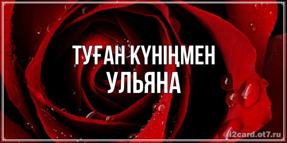 Күн сайын ашық хат с именем, Ульяна Туған күніңмен крупная бордовая роза Онлайн тегін жүктеп алу тілектері бар керемет карта 