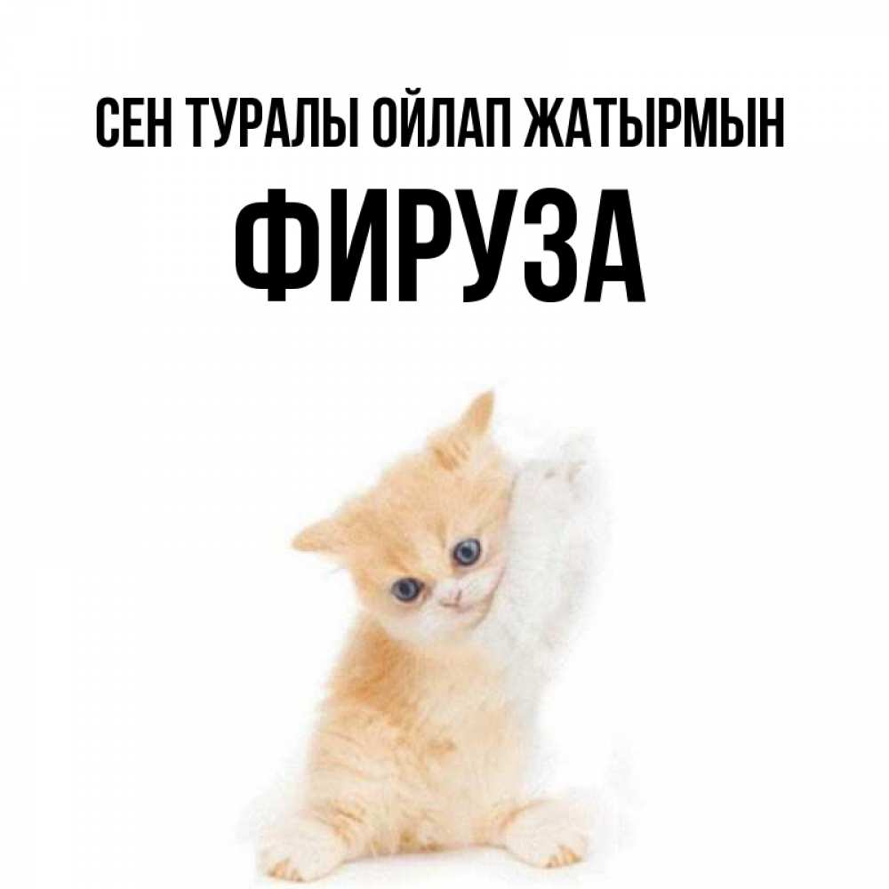 Күн сайын ашық хат с именем, ФИРУЗА Сен туралы ойлап жатырмын зверушки и милота Онлайн тегін жүктеп алу тілектері бар керемет карта 