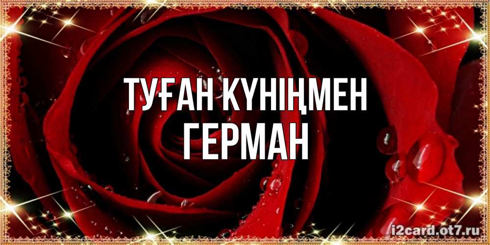 Күн сайын ашық хат с именем, Герман Туған күніңмен цветок в росе на день рождения Онлайн тегін жүктеп алу тілектері бар керемет карта 