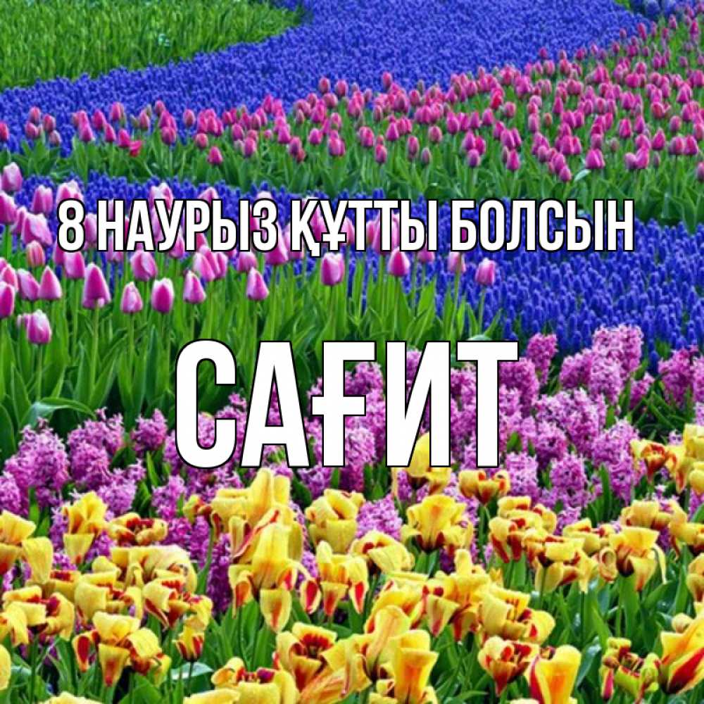 Күн сайын ашық хат с именем, САҒИТ 8 наурыз құтты болсын цветы Онлайн тегін жүктеп алу тілектері бар керемет карта 