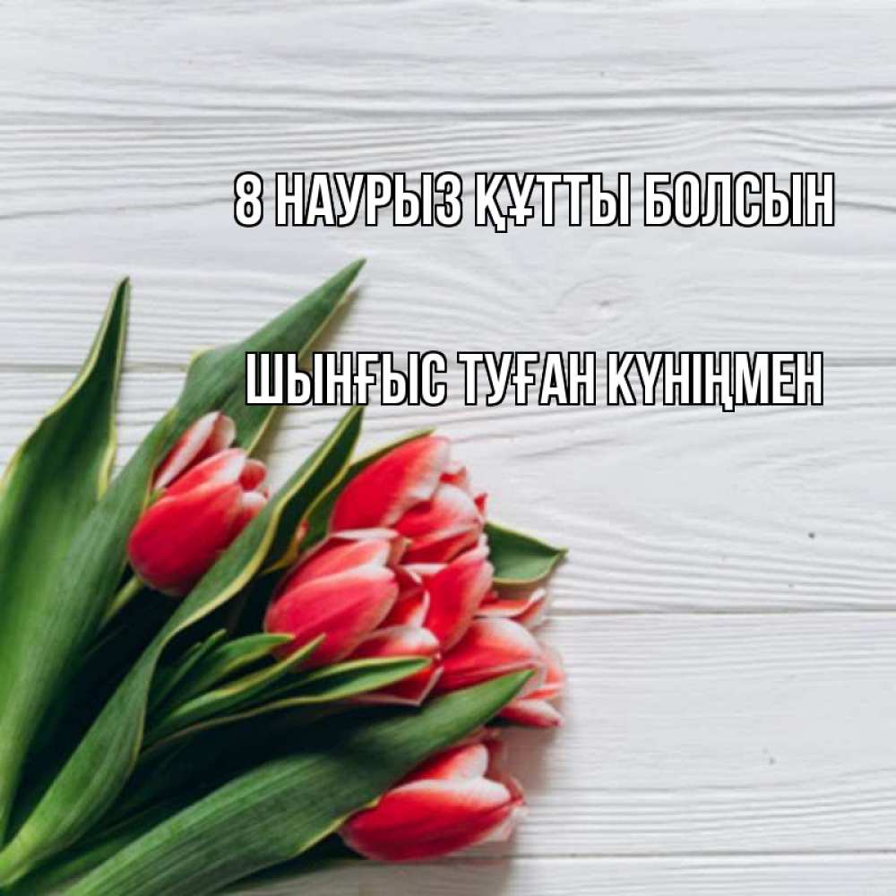Картинка 8 наурыз құтты болсын, ШЫНҒЫС! ТУҒАН КҮНІҢМЕН!