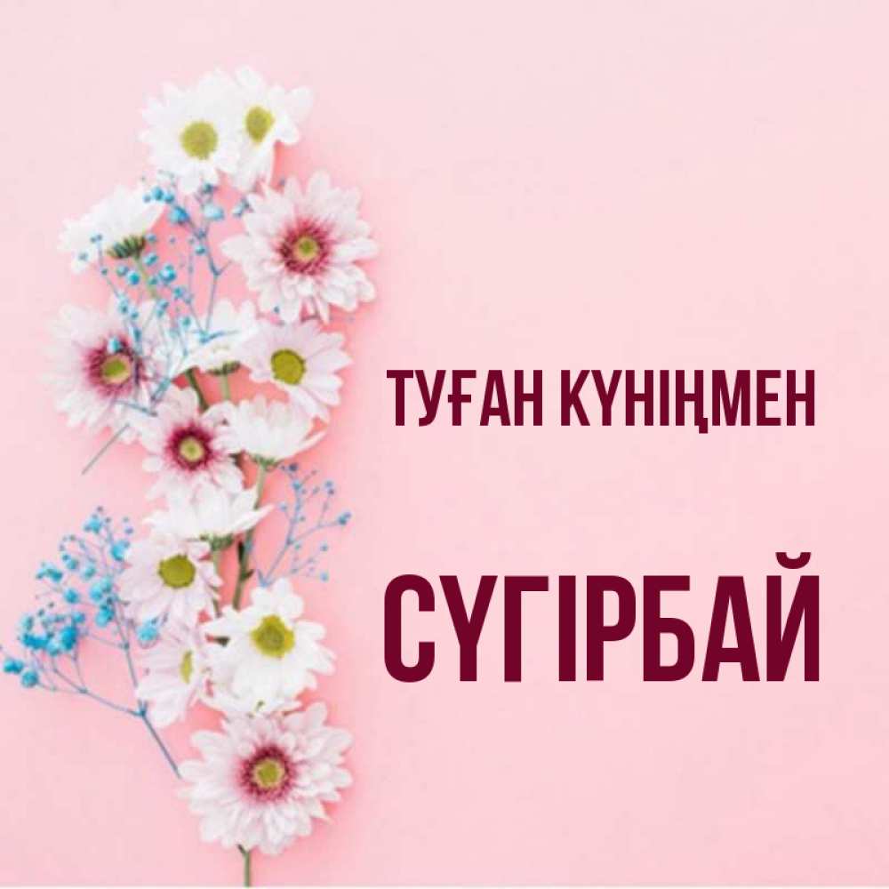 Күн сайын ашық хат с именем, СҮГІРБАЙ Туған күніңмен Родная моя с днем рождения тебя картинка с цветами белыми и голубыми Онлайн тегін жүктеп алу тілектері бар керемет карта 