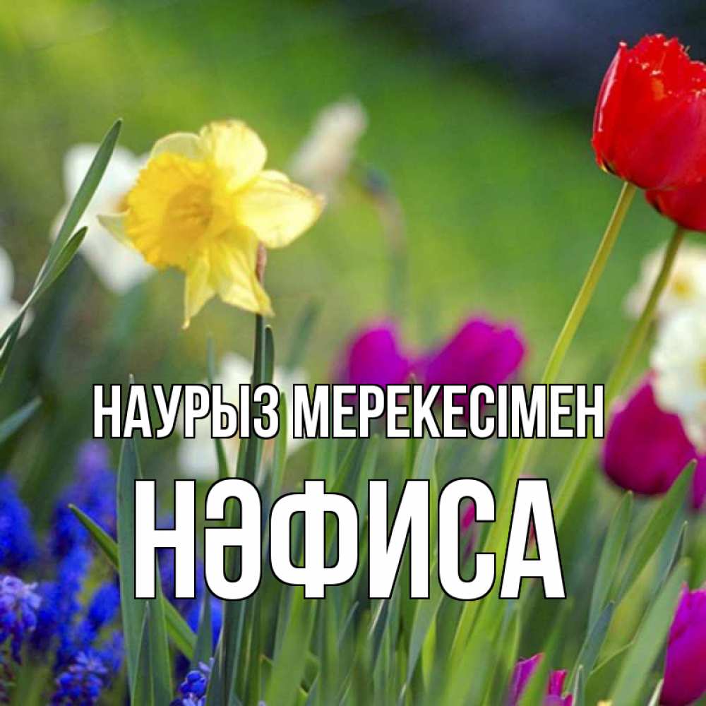 Күн сайын ашық хат с именем, НӘФИСА Наурыз мерекесімен праздник весны наурыз 3 Онлайн тегін жүктеп алу тілектері бар керемет карта 