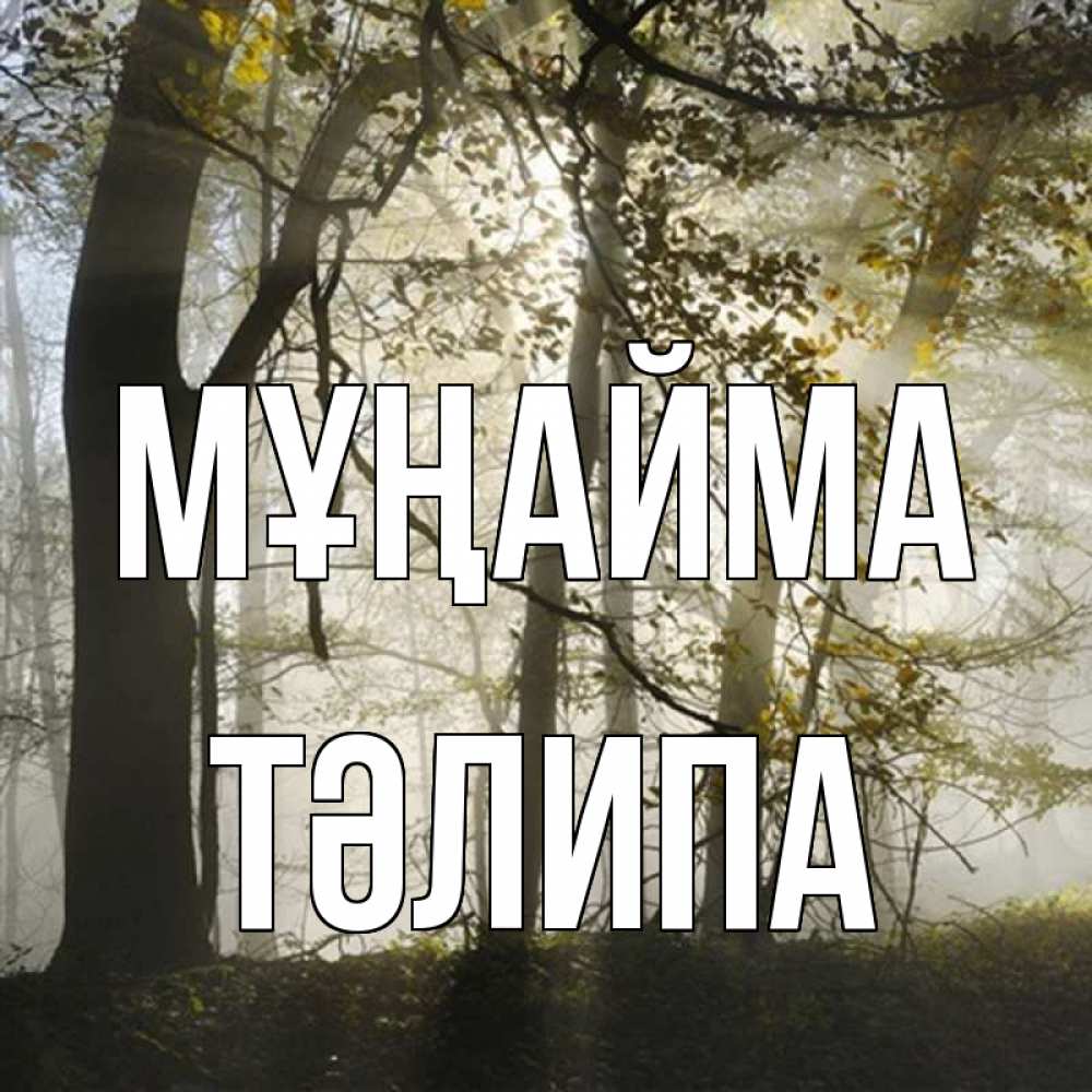 Күн сайын ашық хат с именем, ТӘЛИПА Мұңайма лес и свет Онлайн тегін жүктеп алу тілектері бар керемет карта 