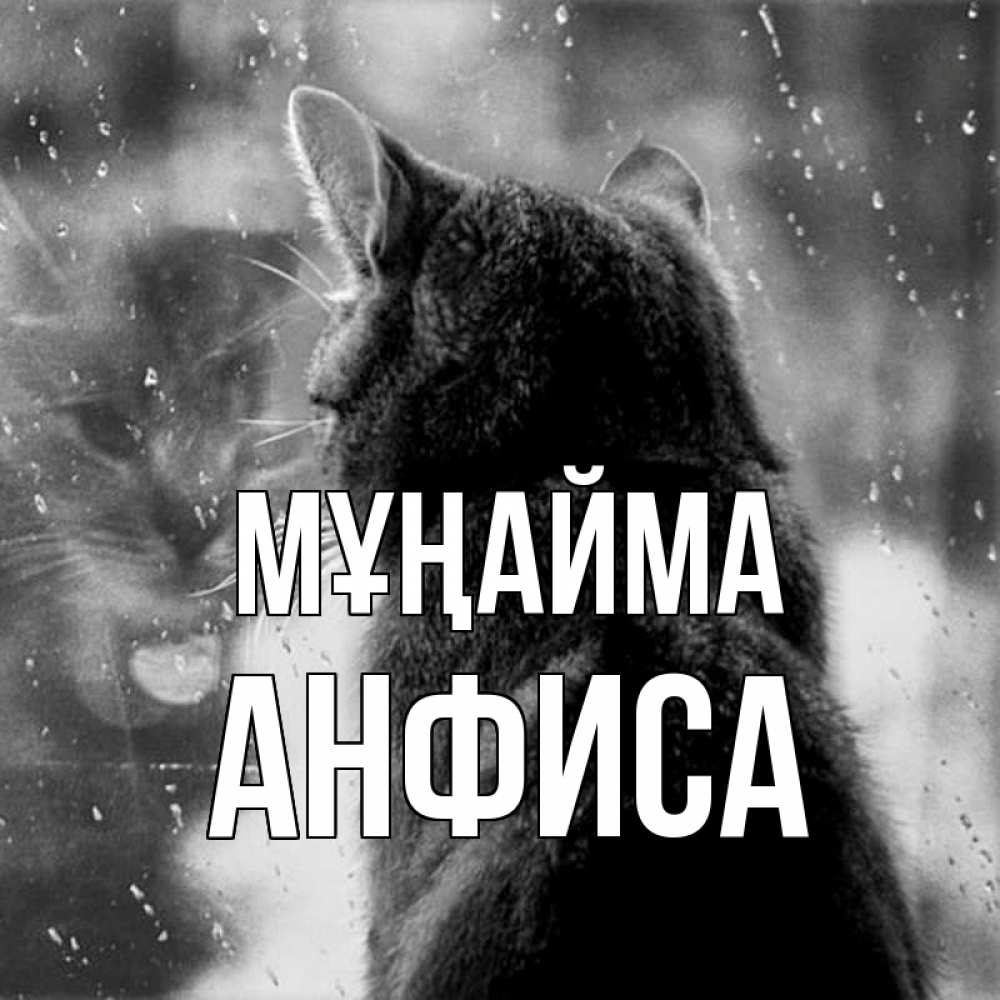 Күн сайын ашық хат с именем, Анфиса Мұңайма отражение кота 1 Онлайн тегін жүктеп алу тілектері бар керемет карта 