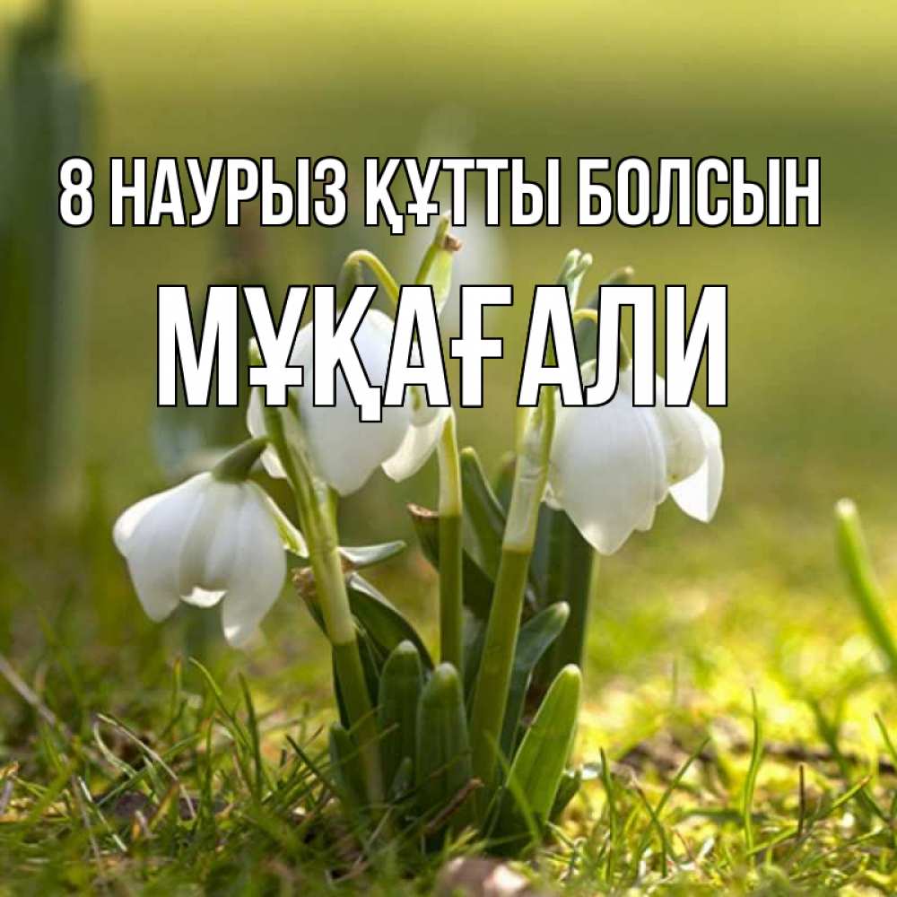 Күн сайын ашық хат с именем, МҰҚАҒАЛИ 8 наурыз құтты болсын ранние цветы 2 Онлайн тегін жүктеп алу тілектері бар керемет карта 