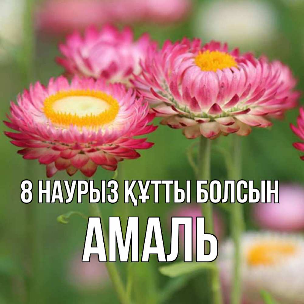 Күн сайын ашық хат с именем, Амаль 8 наурыз құтты болсын подарок на международный женский день Онлайн тегін жүктеп алу тілектері бар керемет карта 
