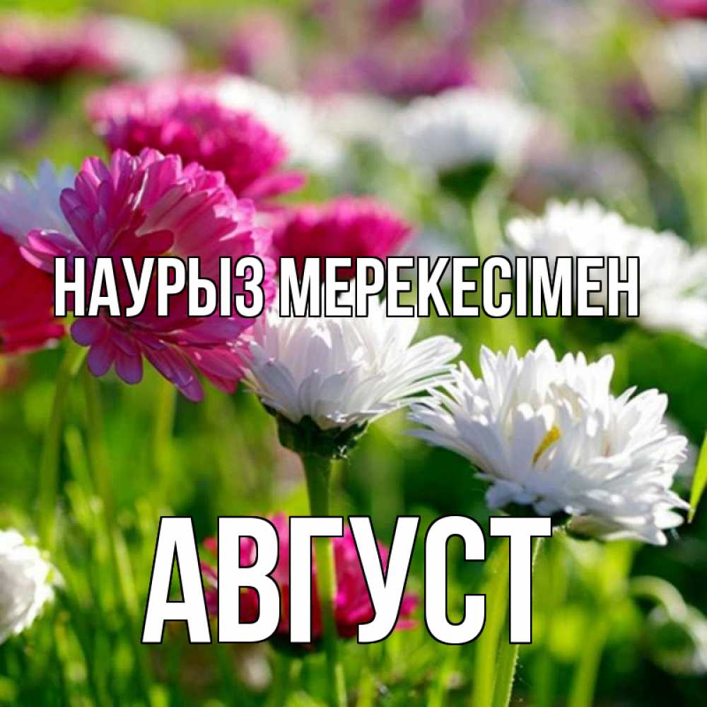 Күн сайын ашық хат с именем, Август Наурыз мерекесімен праздник весны наурыз красота Онлайн тегін жүктеп алу тілектері бар керемет карта 