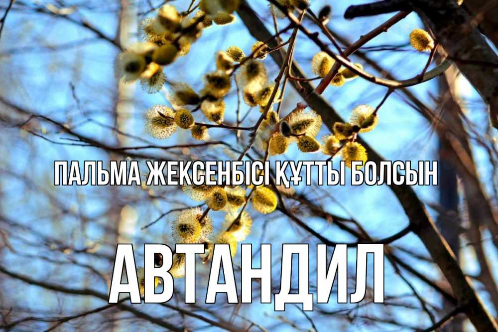Күн сайын ашық хат с именем, Автандил Пальма жексенбісі құтты болсын верба Онлайн тегін жүктеп алу тілектері бар керемет карта 