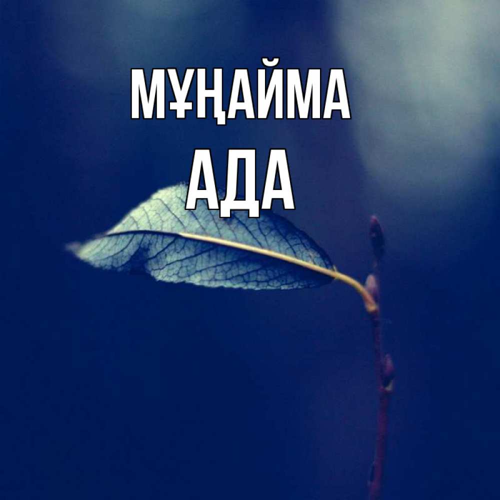 Күн сайын ашық хат с именем, Ада Мұңайма растение Онлайн тегін жүктеп алу тілектері бар керемет карта 