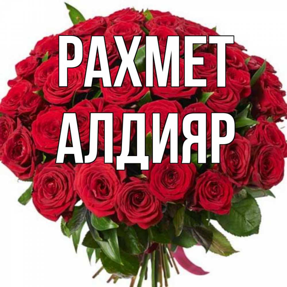Күн сайын ашық хат с именем, Алдияр рахмет букет красных роз Онлайн тегін жүктеп алу тілектері бар керемет карта 