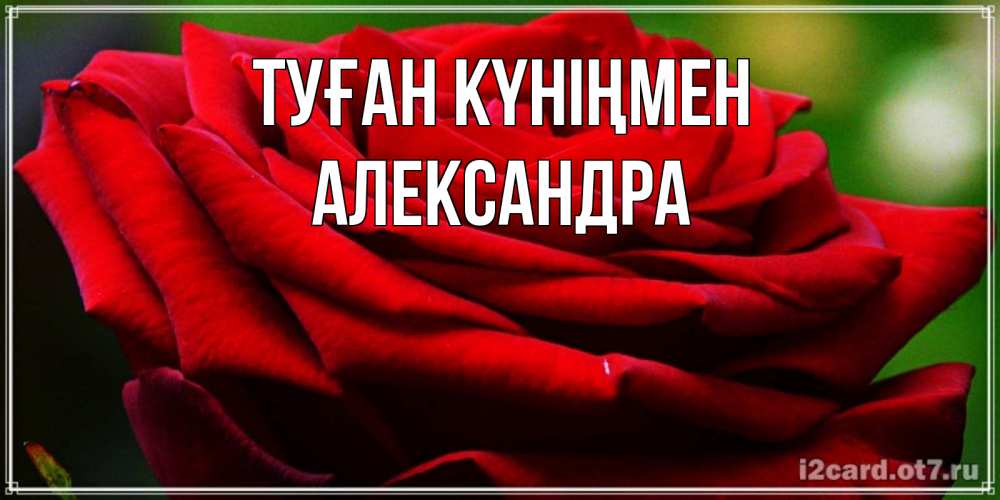 Күн сайын ашық хат с именем, Александра Туған күніңмен розочка очень красивая Онлайн тегін жүктеп алу тілектері бар керемет карта 